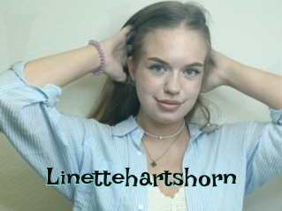 Linettehartshorn
