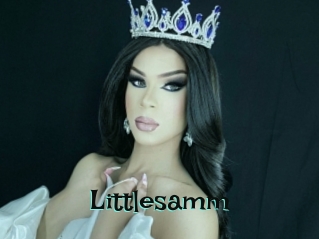 Littlesamm