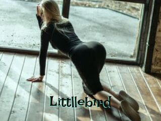 Littllebird