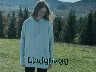 Lladybugg