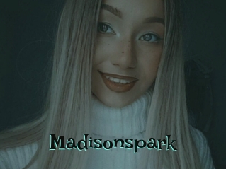 Madisonspark