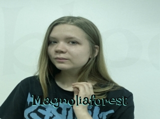 Magnoliaforest
