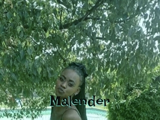 malender Blog Pornostar
