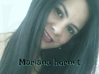Mariana_hornet