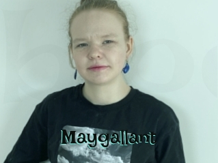 Maygallant