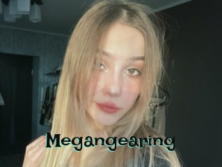 Megangearing