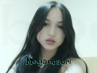 Meganosori