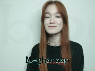 Meghanasp