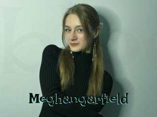 Meghangarfield