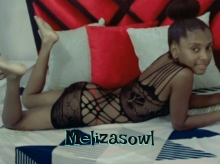 Melizasowl