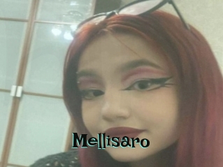 mellisaro Blog Pornostar