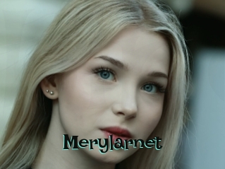 Merylarnet