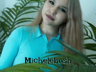 Michelebush
