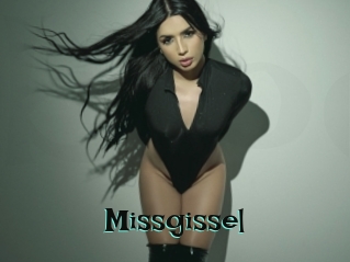 Missgissel