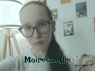 Moirecaudle
