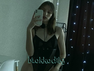Mokkodilg
