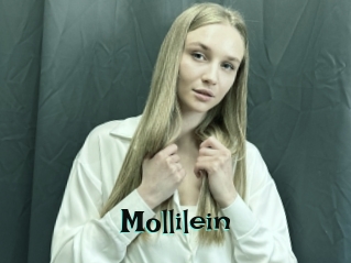 Mollilein
