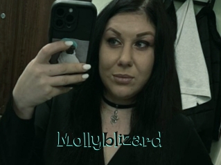 Mollyblizard