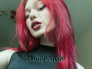 Mollycodle