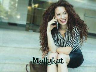 Mollykat
