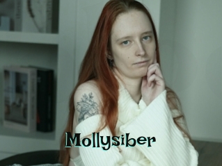 Mollysiber