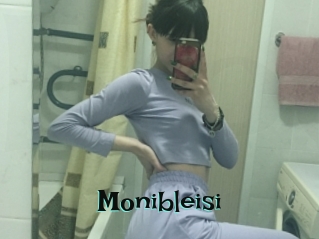 Monibleisi