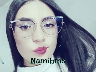 Namibms