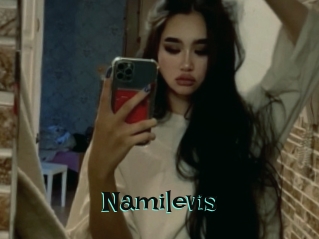 Namilevis