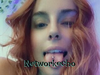 Networkecho