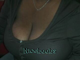 Niceboobs