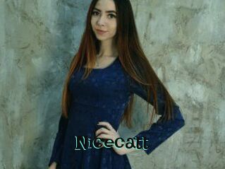 Nicecatt