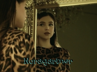 Noragartner