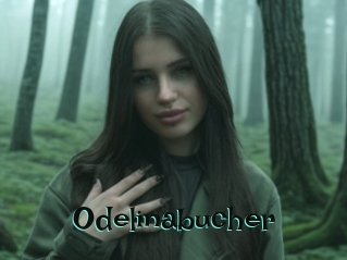 Odelinabucher