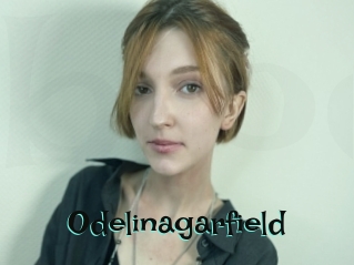 Odelinagarfield