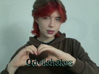 Odellahakes