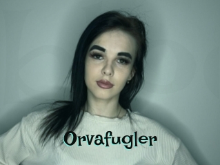 Orvafugler