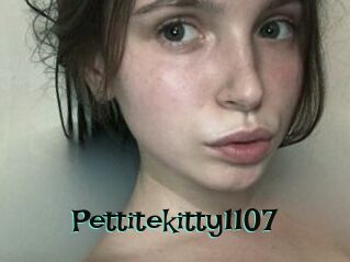 Pettitekitty1107