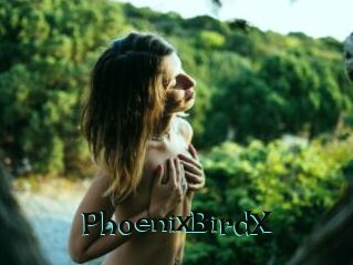 PhoenixBirdX