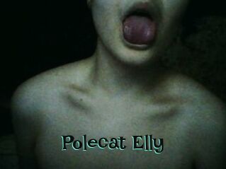 Polecat_Elly