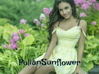 PolianSunflower
