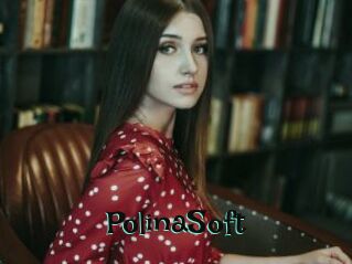PolinaSoft
