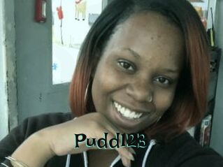 Pudd123