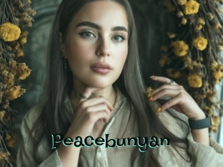 Peacebunyan