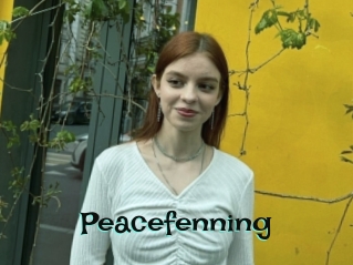 Peacefenning