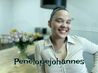Penelopejohannes