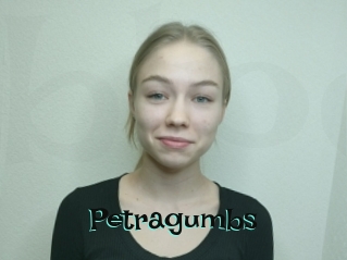 Petragumbs