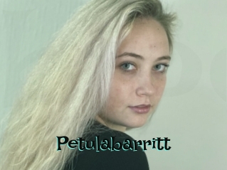 Petulabarritt