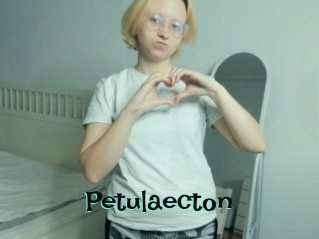 Petulaecton