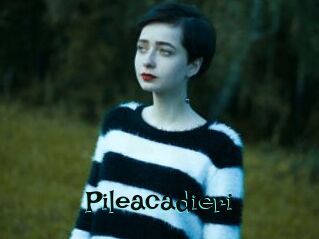 Pileacadieri