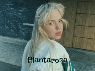 Plantarosa